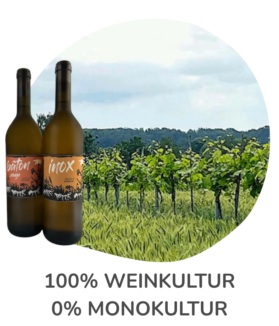 100 Prozent Weinkultur